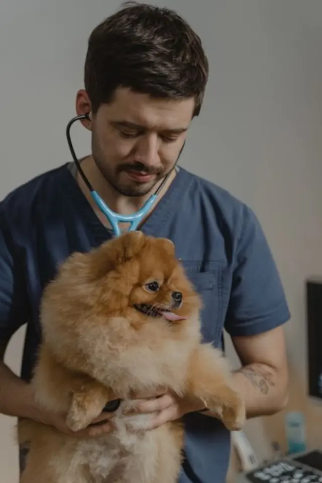 Klinik yardımcısı
